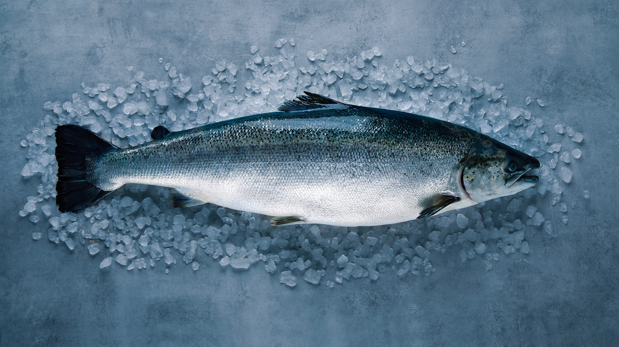 Seven reasons to buy Norwegian salmon